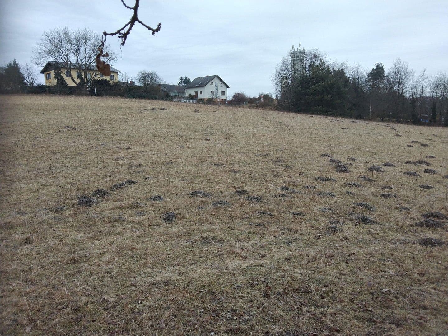 Predaj domu 267 m², pozemek 8.000 m², Drosendorf Stadt, Dolné Rakúsko Predaj domu 267 m², pozemek 8.000 m², Drosendorf Stadt, Dolné Rakúsko