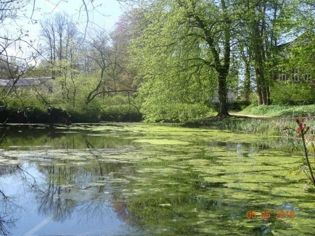 Predaj domu 220 m², pozemek 740 m², Itzehoe, Šlezvicko-Holštajnsko Predaj domu 220 m², pozemek 740 m², Itzehoe, Šlezvicko-Holštajnsko