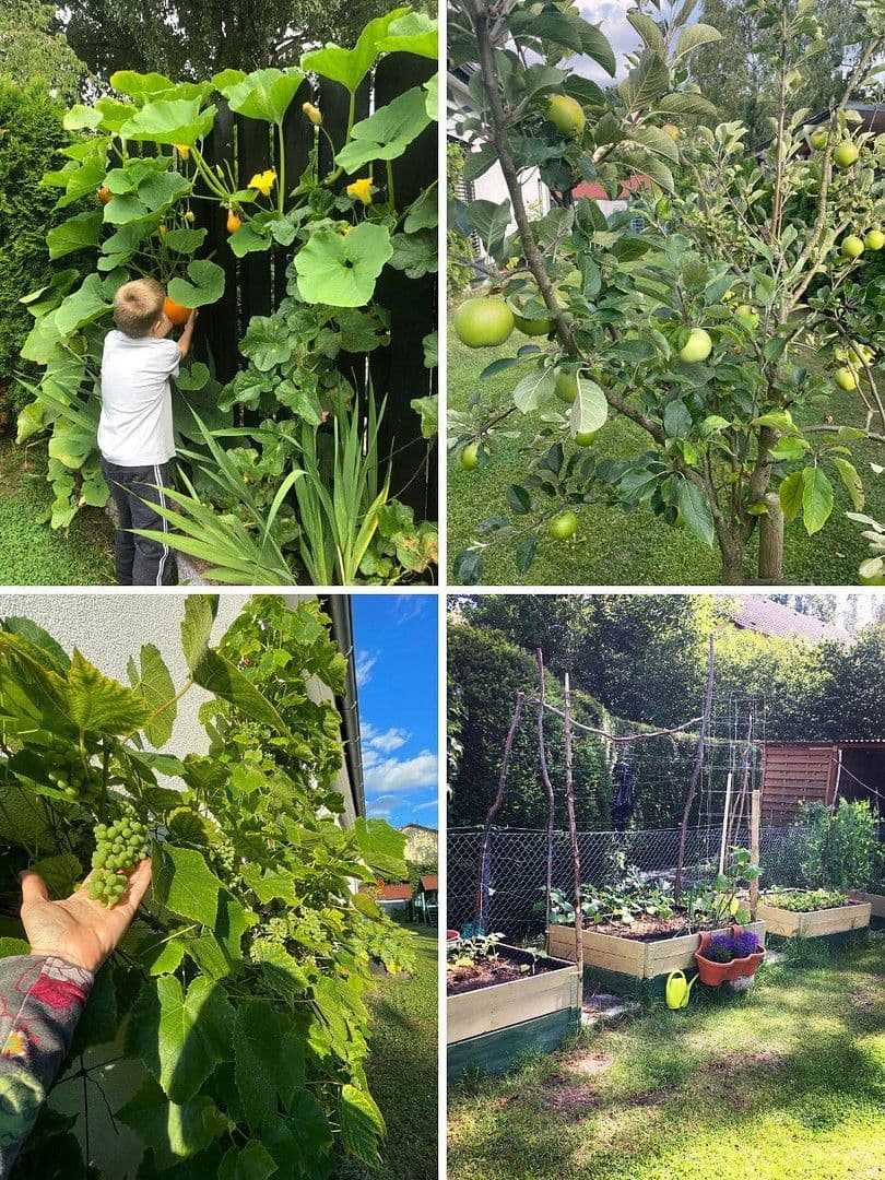 Predaj domu 141 m², pozemek 711 m², Bielefeld, Severné Porýnie - Westfálsko Predaj domu 141 m², pozemek 711 m², Bielefeld, Severné Porýnie - Westfálsko