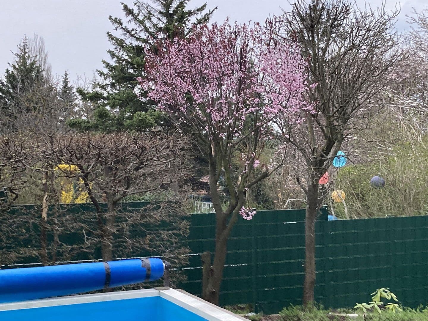 Predaj domu 129 m², pozemek 548 m², Wien, Viedeň Predaj domu 129 m², pozemek 548 m², Wien, Viedeň