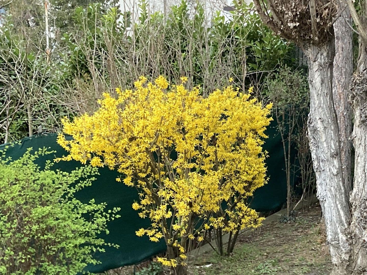 Predaj domu 129 m², pozemek 548 m², Wien, Viedeň Predaj domu 129 m², pozemek 548 m², Wien, Viedeň