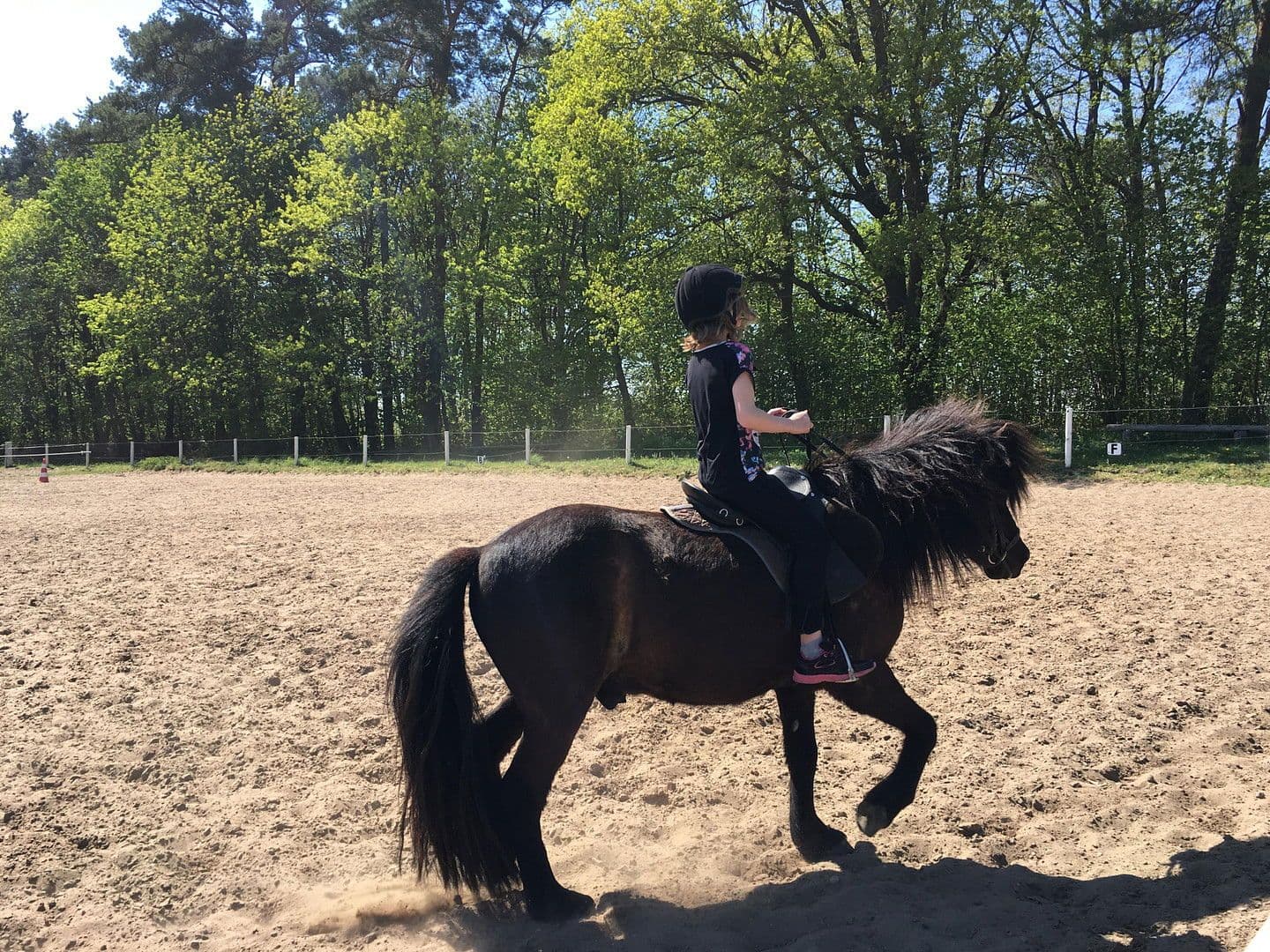 Predaj domu 91 m², pozemek 1.175 m², Zur Lenzer Höh 6, Haus 13, Fünfseen, Meklenbursko-Predpomoransko Predaj domu 91 m², pozemek 1.175 m², Zur Lenzer Höh 6, Haus 13, Fünfseen, Meklenbursko-Predpomoransko