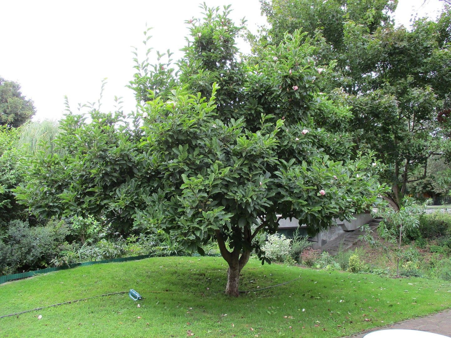 Predaj pozemku 977 m², Panketal, Brandenbursko Predaj pozemku 977 m², Panketal, Brandenbursko