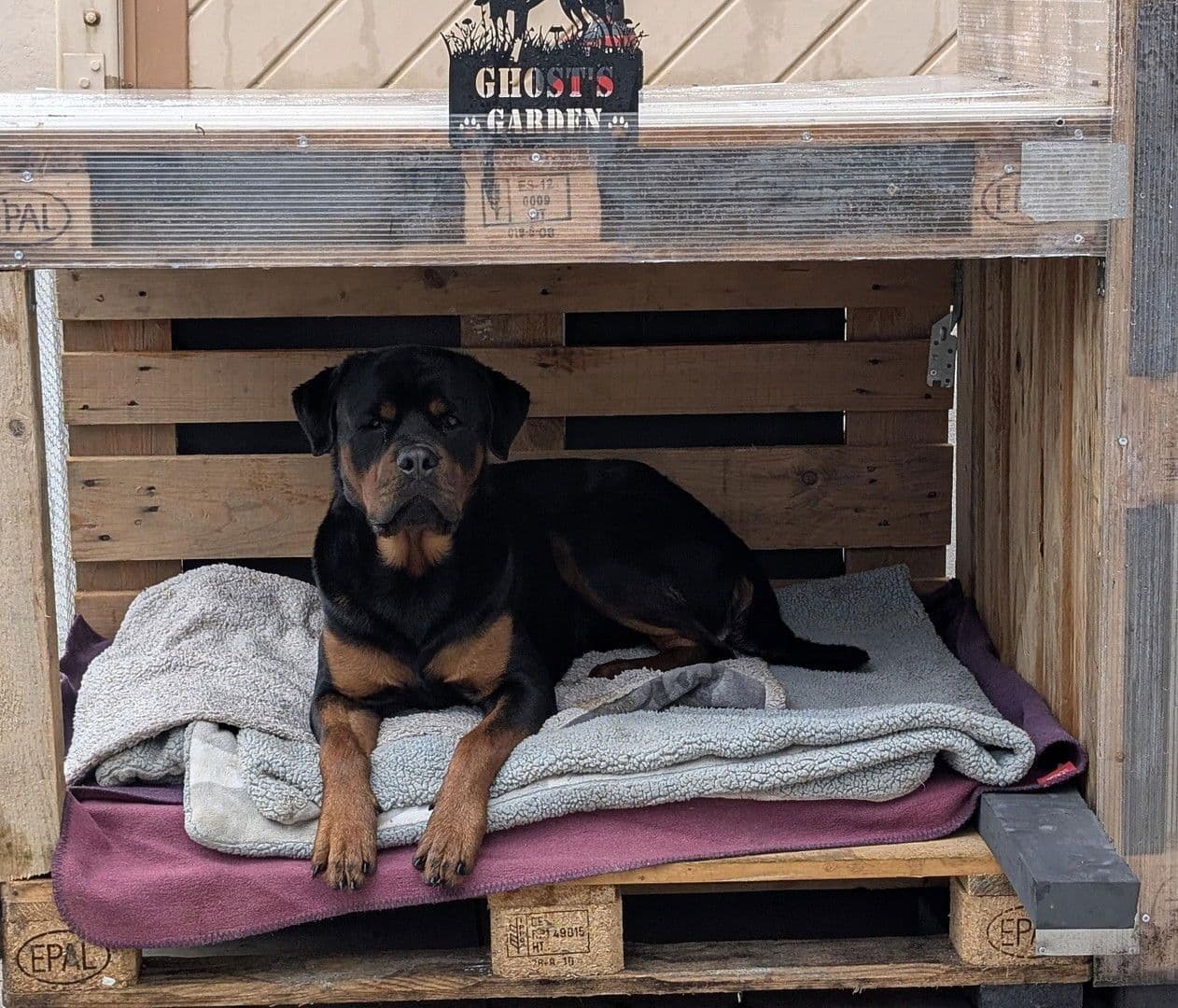 Prenájom bytu 3-izbový 92 m², Kallstadt, Porýnie-Falcko Prenájom bytu 3-izbový 92 m², Kallstadt, Porýnie-Falcko