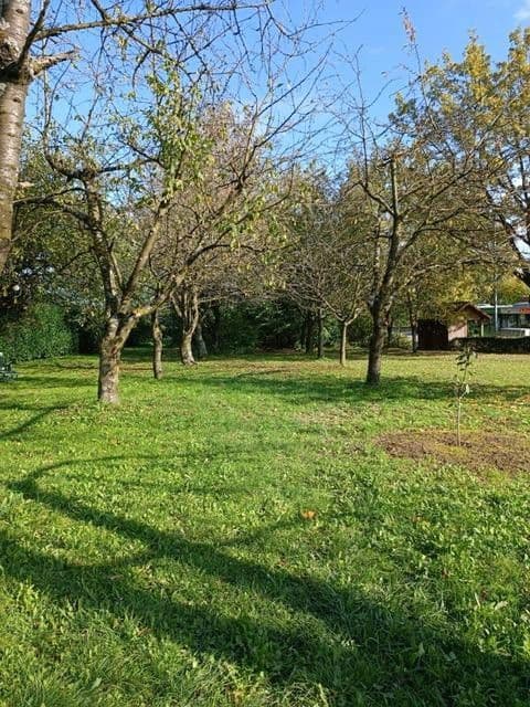 Predaj bytu 4-izbový 92 m², Kreuzlingerstrasse 18, Friedrichshafen, Bádensko-Wurttembersko Predaj bytu 4-izbový 92 m², Kreuzlingerstrasse 18, Friedrichshafen, Bádensko-Wurttembersko