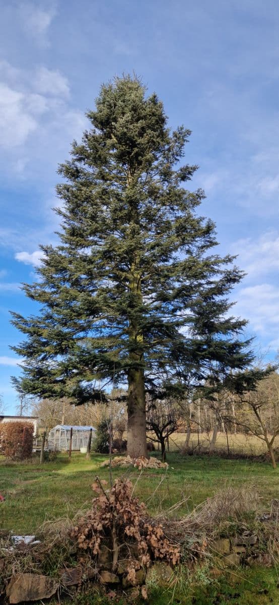 Predaj pozemku 738 m², Hlincová Hora, Jihočeský kraj Predaj pozemku 738 m², Hlincová Hora, Jihočeský kraj