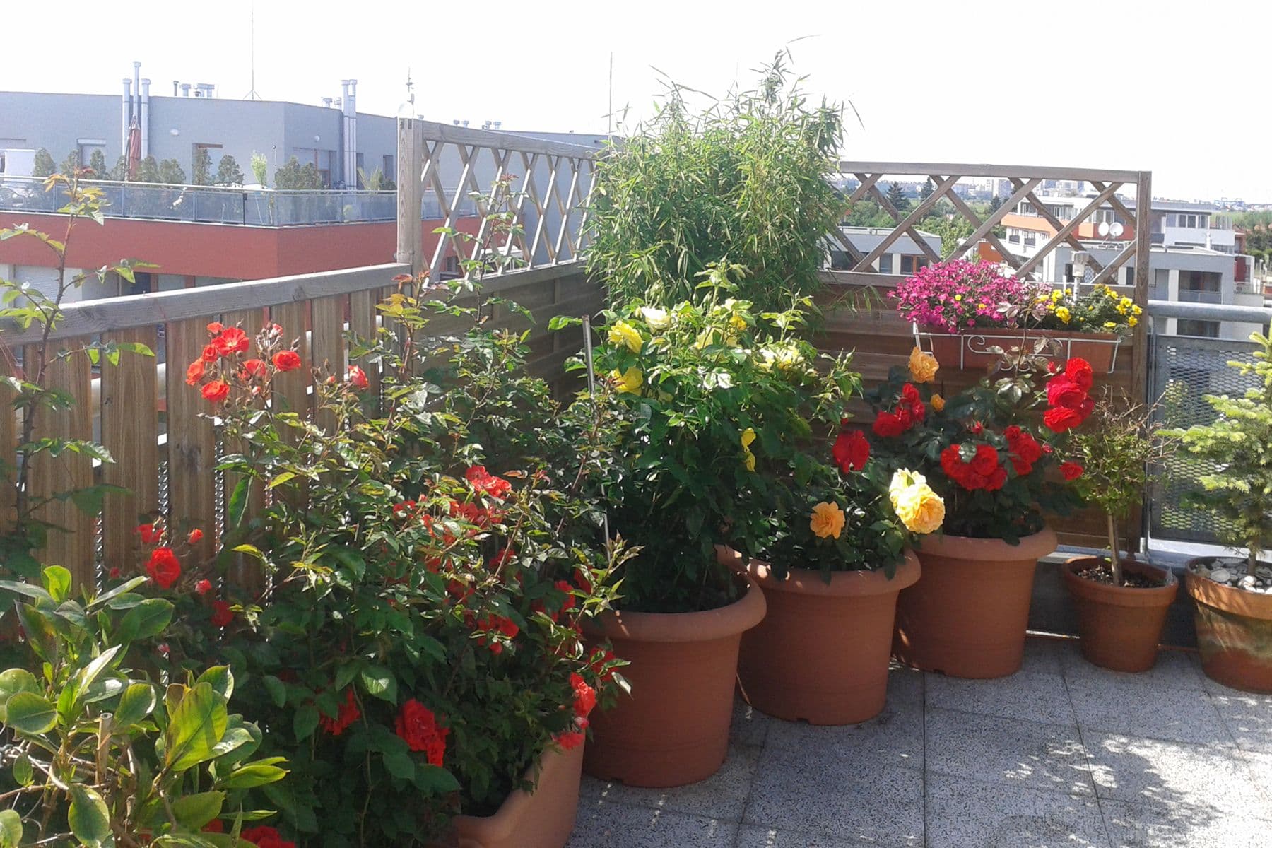 Predaj bytu 4-izbový 113 m², Pečárková, Praha, Praha Predaj bytu 4-izbový 113 m², Pečárková, Praha, Praha