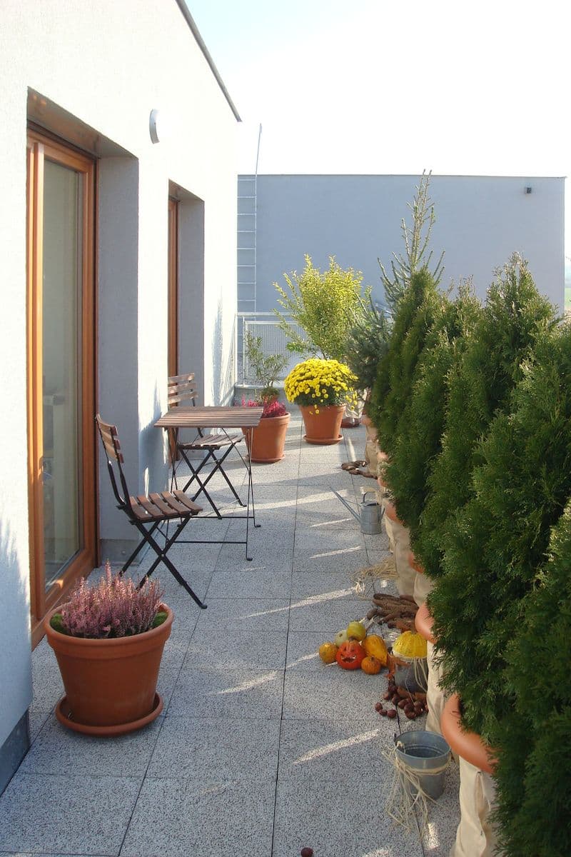 Predaj bytu 4-izbový 179 m², Pečárková, Praha, Praha Predaj bytu 4-izbový 179 m², Pečárková, Praha, Praha