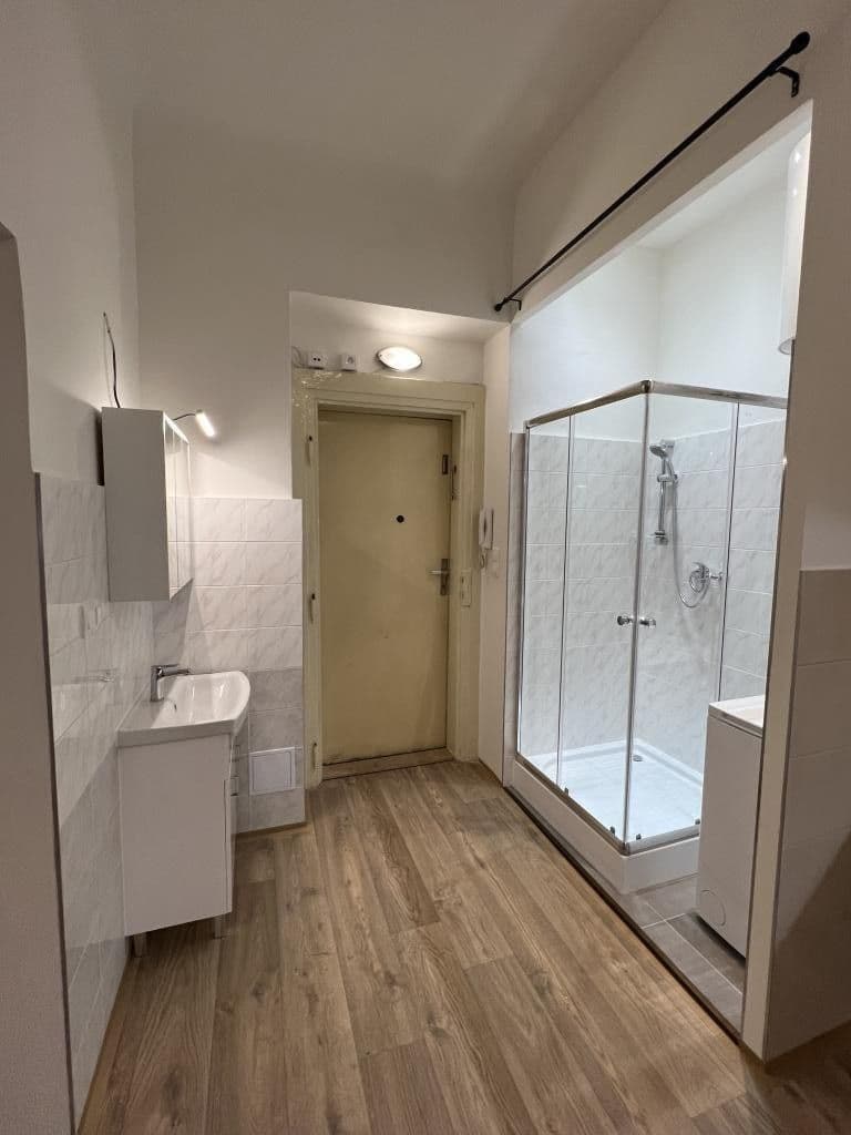 Prenájom bytu 1-izbový 39 m², Mánesova, Praha, Praha Prenájom bytu 1-izbový 39 m², Mánesova, Praha, Praha