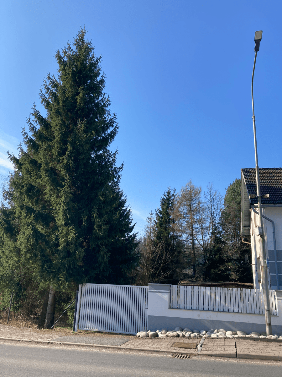 Predaj domu 241 m², pozemek 2.752 m², Meziměstí, Královéhradecký kraj Predaj domu 241 m², pozemek 2.752 m², Meziměstí, Královéhradecký kraj