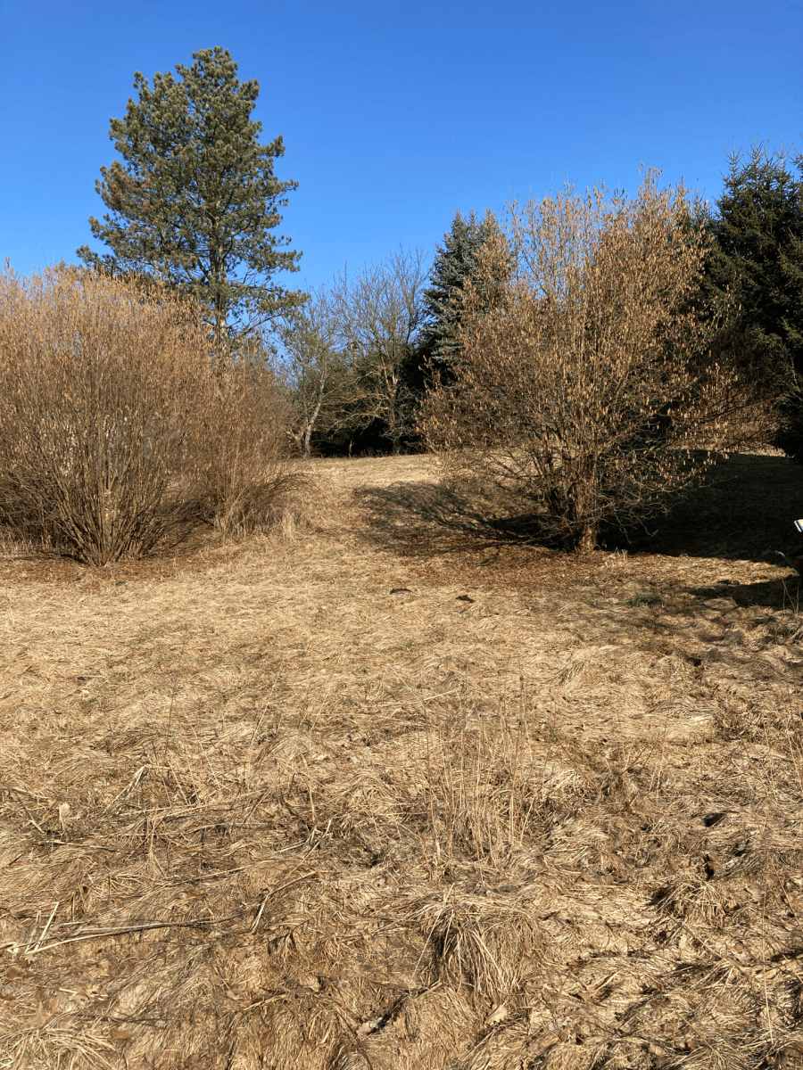 Predaj domu 241 m², pozemek 2.752 m², Meziměstí, Královéhradecký kraj Predaj domu 241 m², pozemek 2.752 m², Meziměstí, Královéhradecký kraj