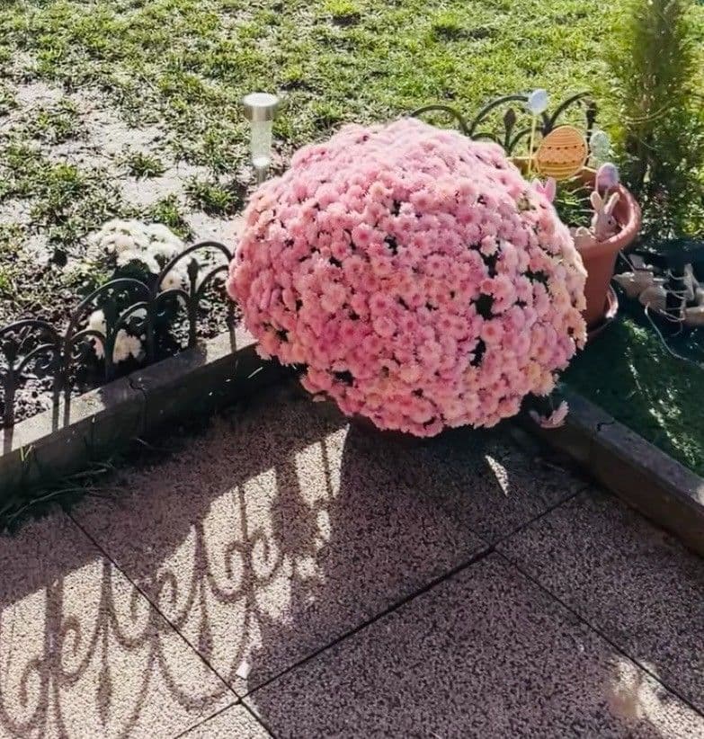 Predaj bytu 2-izbový 59 m², Sazovická, Praha, Praha Predaj bytu 2-izbový 59 m², Sazovická, Praha, Praha