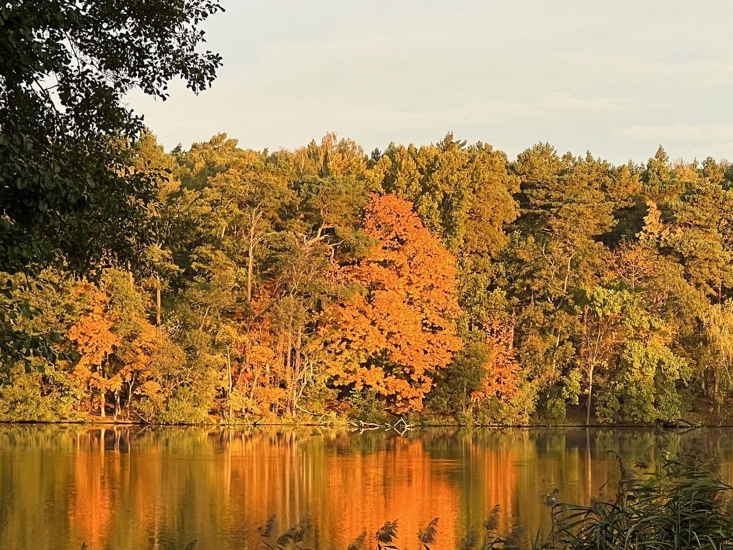 Predaj domu 224 m², pozemek 1.016 m², Königs Wusterhausen, Brandenbursko Predaj domu 224 m², pozemek 1.016 m², Königs Wusterhausen, Brandenbursko