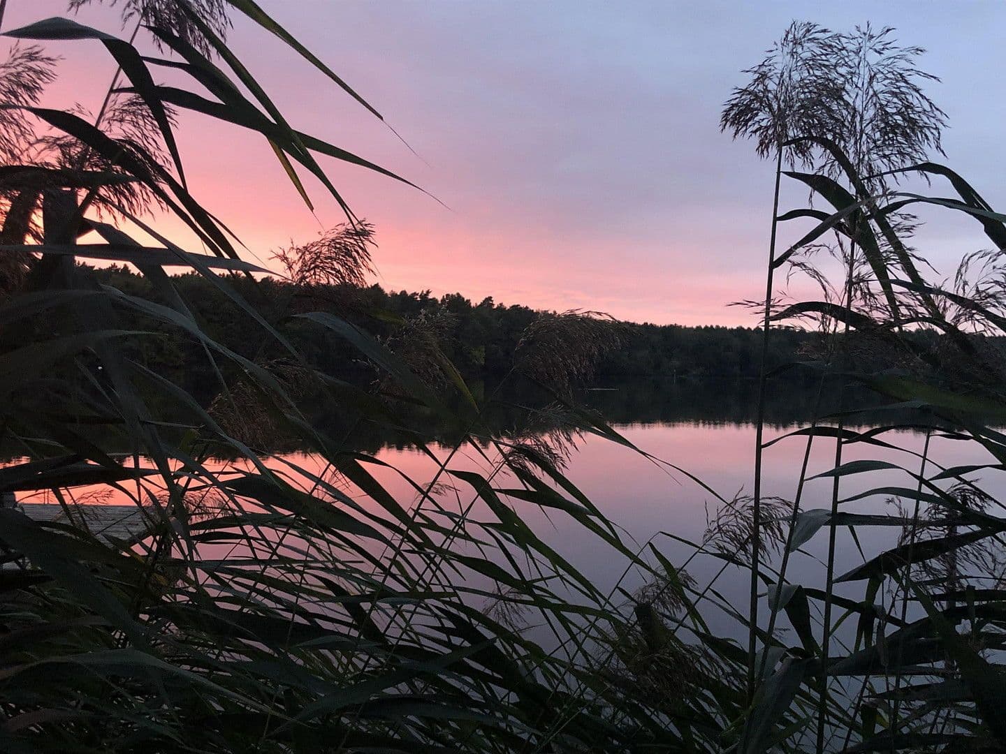 Predaj domu 224 m², pozemek 1.016 m², Königs Wusterhausen, Brandenbursko Predaj domu 224 m², pozemek 1.016 m², Königs Wusterhausen, Brandenbursko