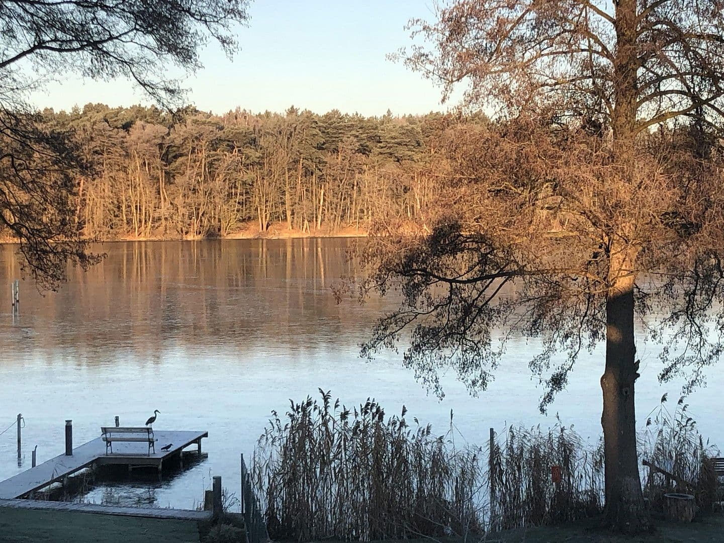 Predaj domu 224 m², pozemek 1.016 m², Königs Wusterhausen, Brandenbursko Predaj domu 224 m², pozemek 1.016 m², Königs Wusterhausen, Brandenbursko