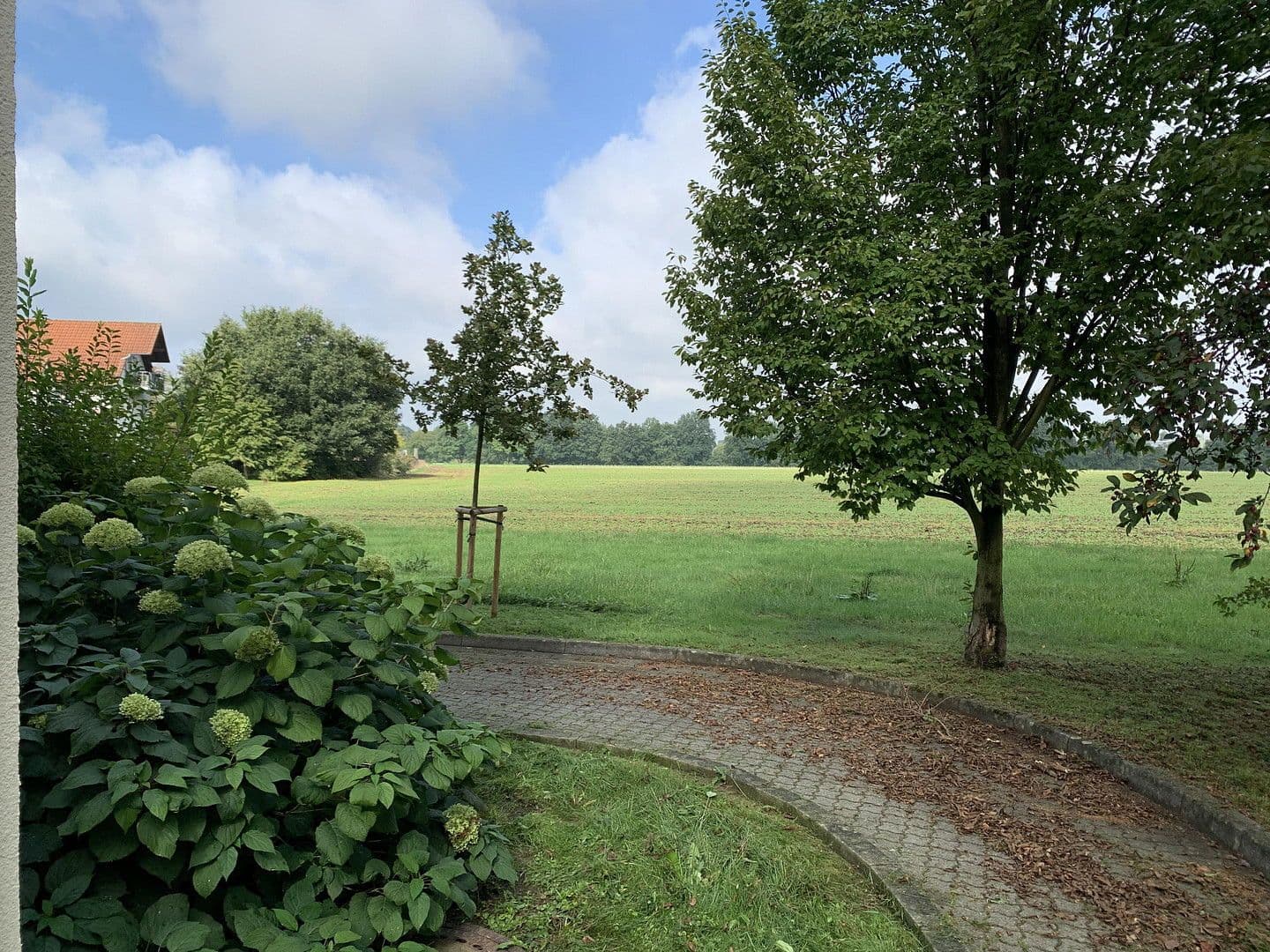 Prenájom bytu 1-izbový 39 m², Johann-Joachim-Kaendler Str. 14, Arnsdorf, Sasko Prenájom bytu 1-izbový 39 m², Johann-Joachim-Kaendler Str. 14, Arnsdorf, Sasko