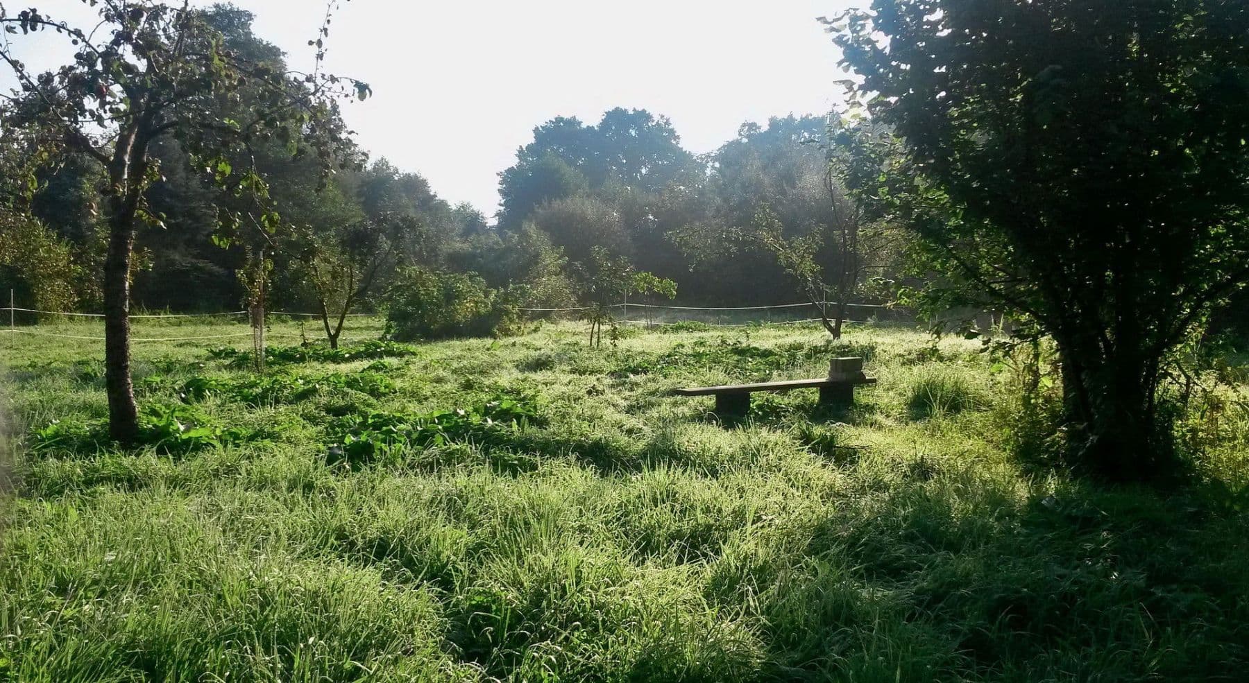 Predaj pozemku 4.340 m², Biesenthal, Brandenbursko Predaj pozemku 4.340 m², Biesenthal, Brandenbursko