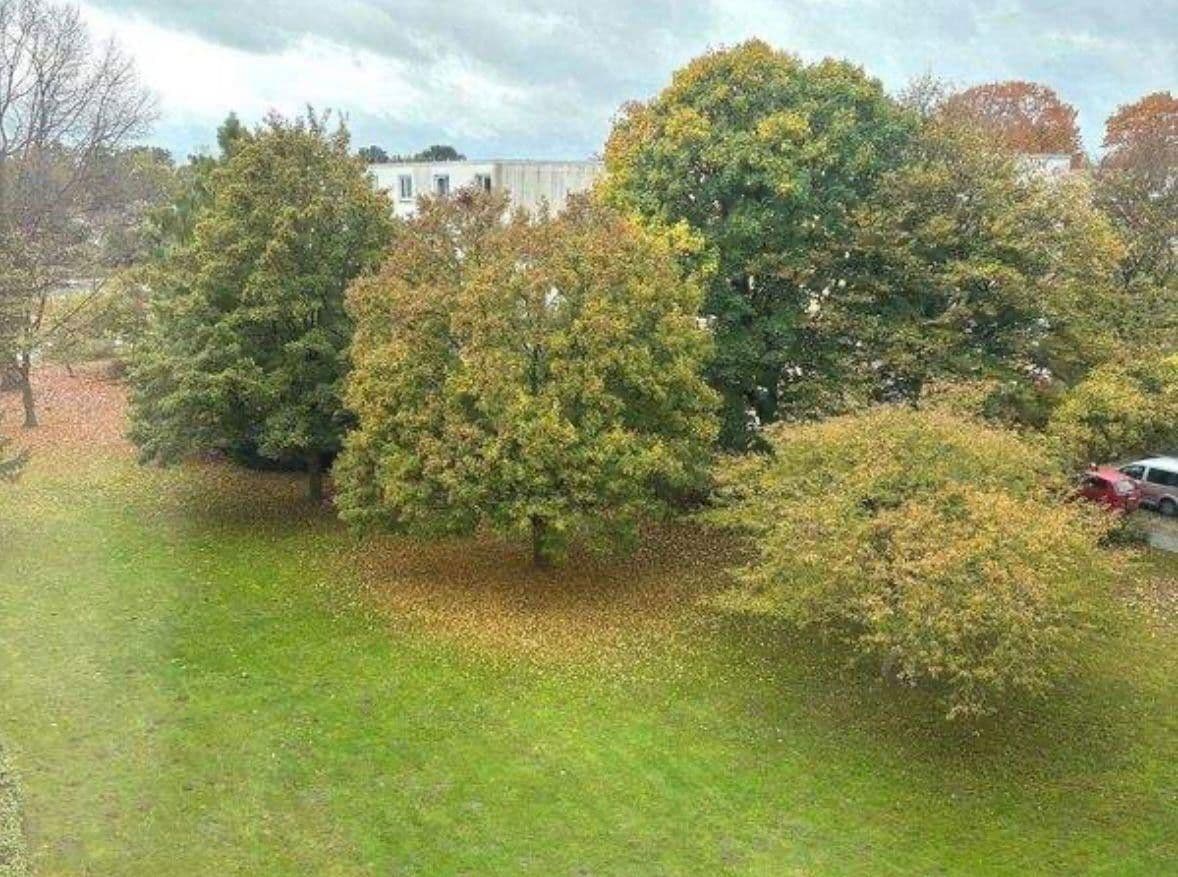 Prenájom bytu 4-izbový 88 m², Tegeler Plate 15, Bremen, Brémy Prenájom bytu 4-izbový 88 m², Tegeler Plate 15, Bremen, Brémy