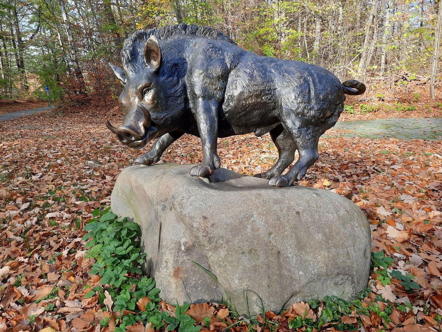 Predaj domu 1.330 m², pozemek 42.907 m², Bad Harzburg, Dolné Sasko Predaj domu 1.330 m², pozemek 42.907 m², Bad Harzburg, Dolné Sasko