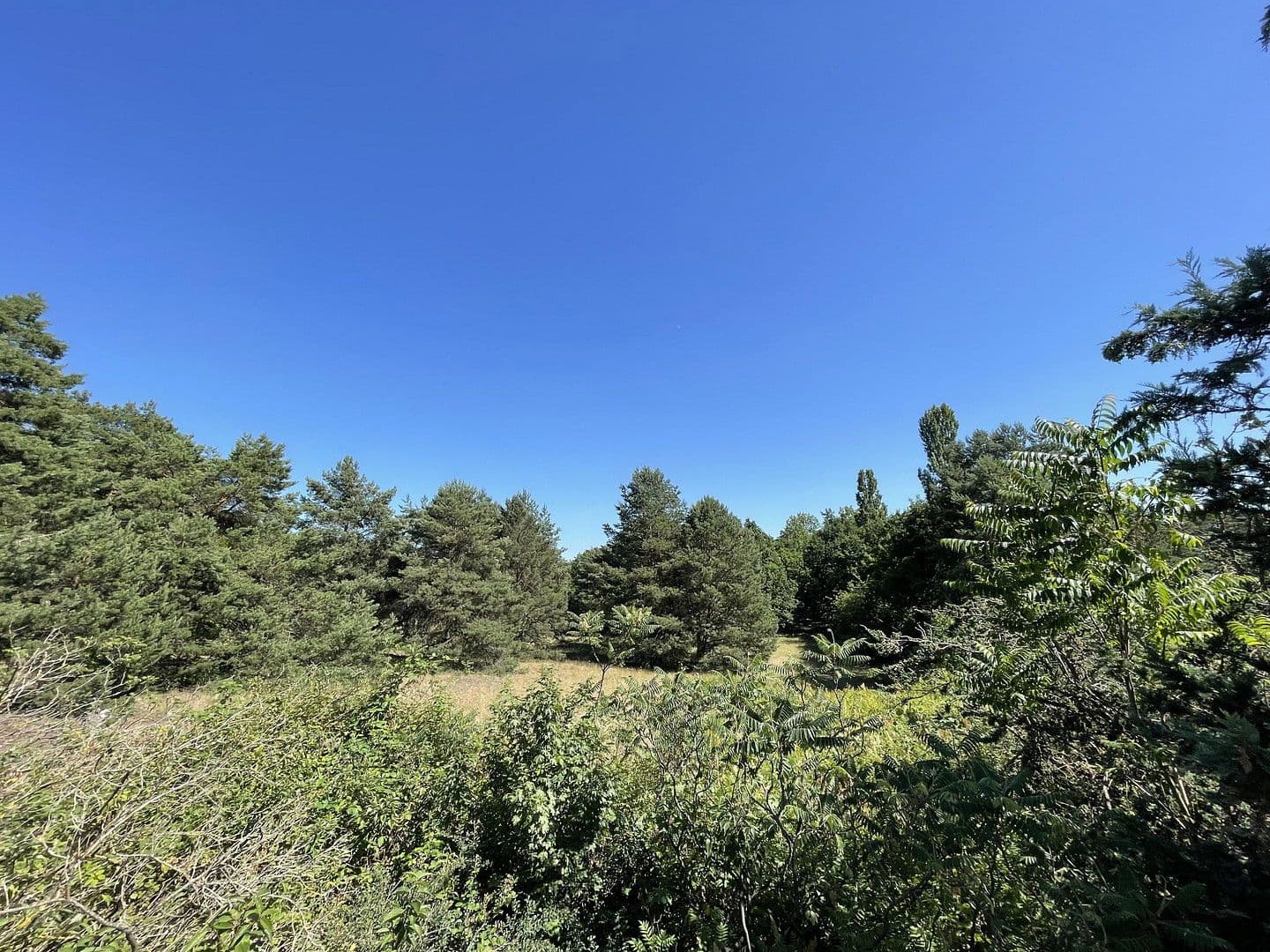 Predaj domu 85 m², pozemek 989 m², Rahnsdorf, Berlín Predaj domu 85 m², pozemek 989 m², Rahnsdorf, Berlín