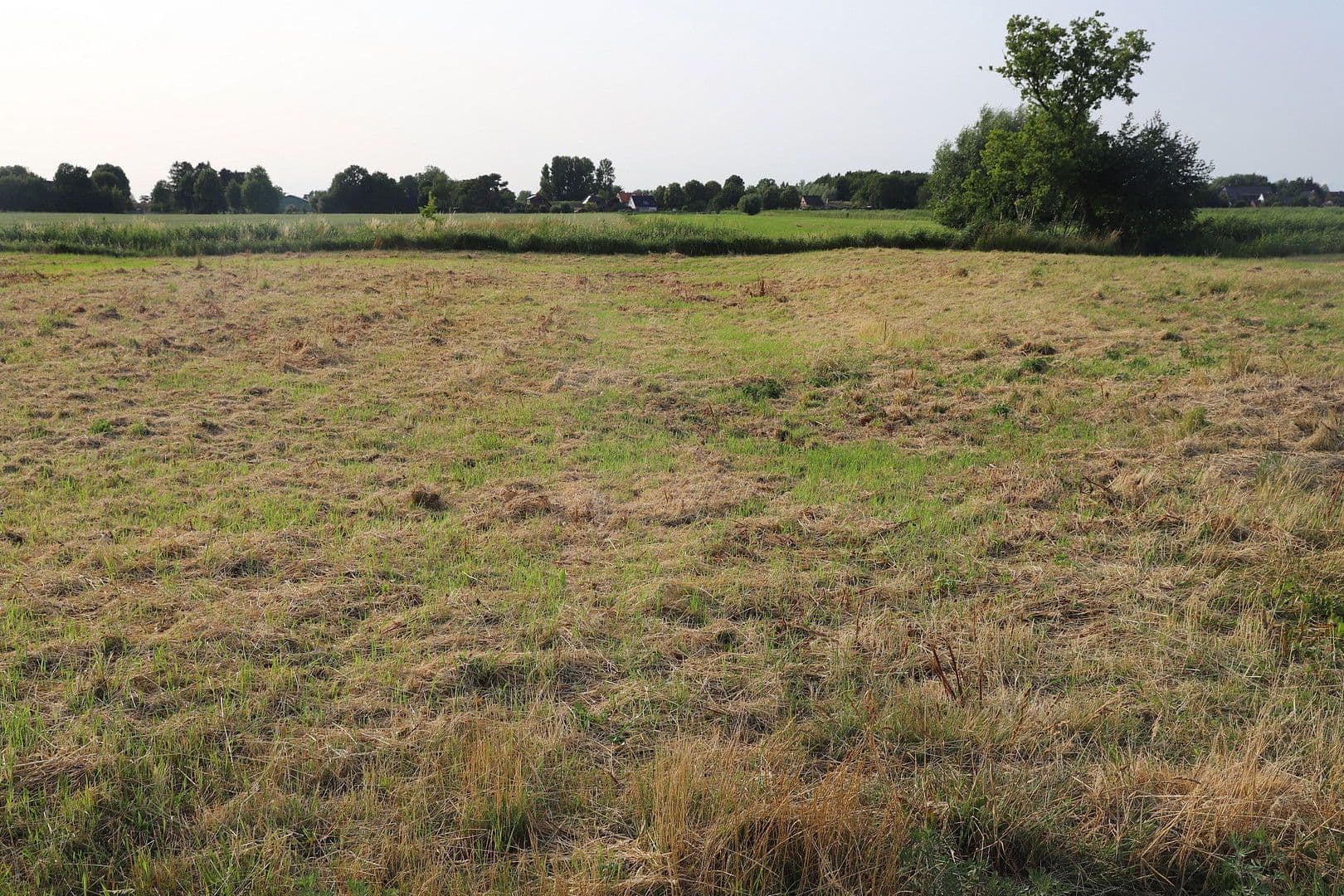 Predaj pozemku 1.017 m², Zur Rönnwettern 35, Seester, Šlezvicko-Holštajnsko Predaj pozemku 1.017 m², Zur Rönnwettern 35, Seester, Šlezvicko-Holštajnsko