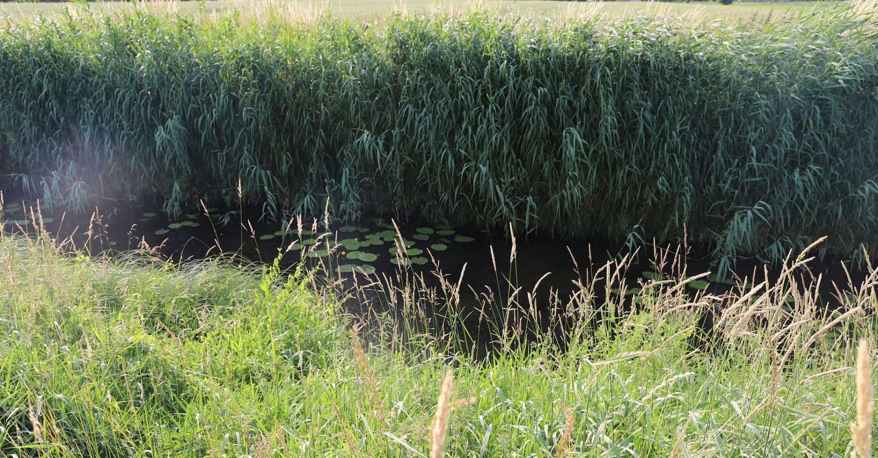 Predaj pozemku 1.017 m², Zur Rönnwettern 35, Seester, Šlezvicko-Holštajnsko Predaj pozemku 1.017 m², Zur Rönnwettern 35, Seester, Šlezvicko-Holštajnsko