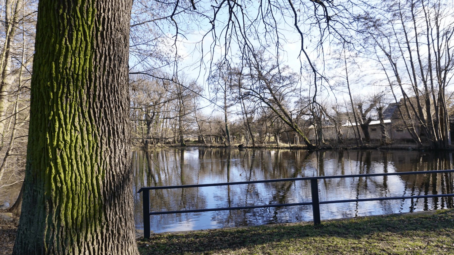 Predaj domu 132 m², pozemek 532 m², Ebersbach, Sasko Predaj domu 132 m², pozemek 532 m², Ebersbach, Sasko