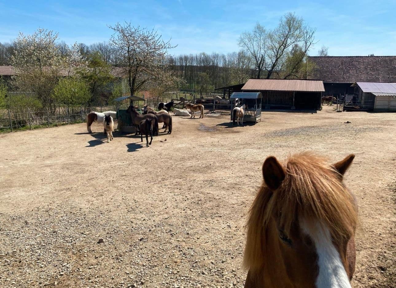 Predaj pozemku 31.000 m², Auf der Heide 3, Espenau, Hesensko Predaj pozemku 31.000 m², Auf der Heide 3, Espenau, Hesensko