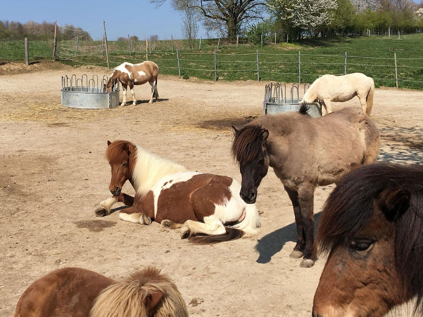 Predaj pozemku 31.000 m², Auf der Heide 3, Espenau, Hesensko Predaj pozemku 31.000 m², Auf der Heide 3, Espenau, Hesensko