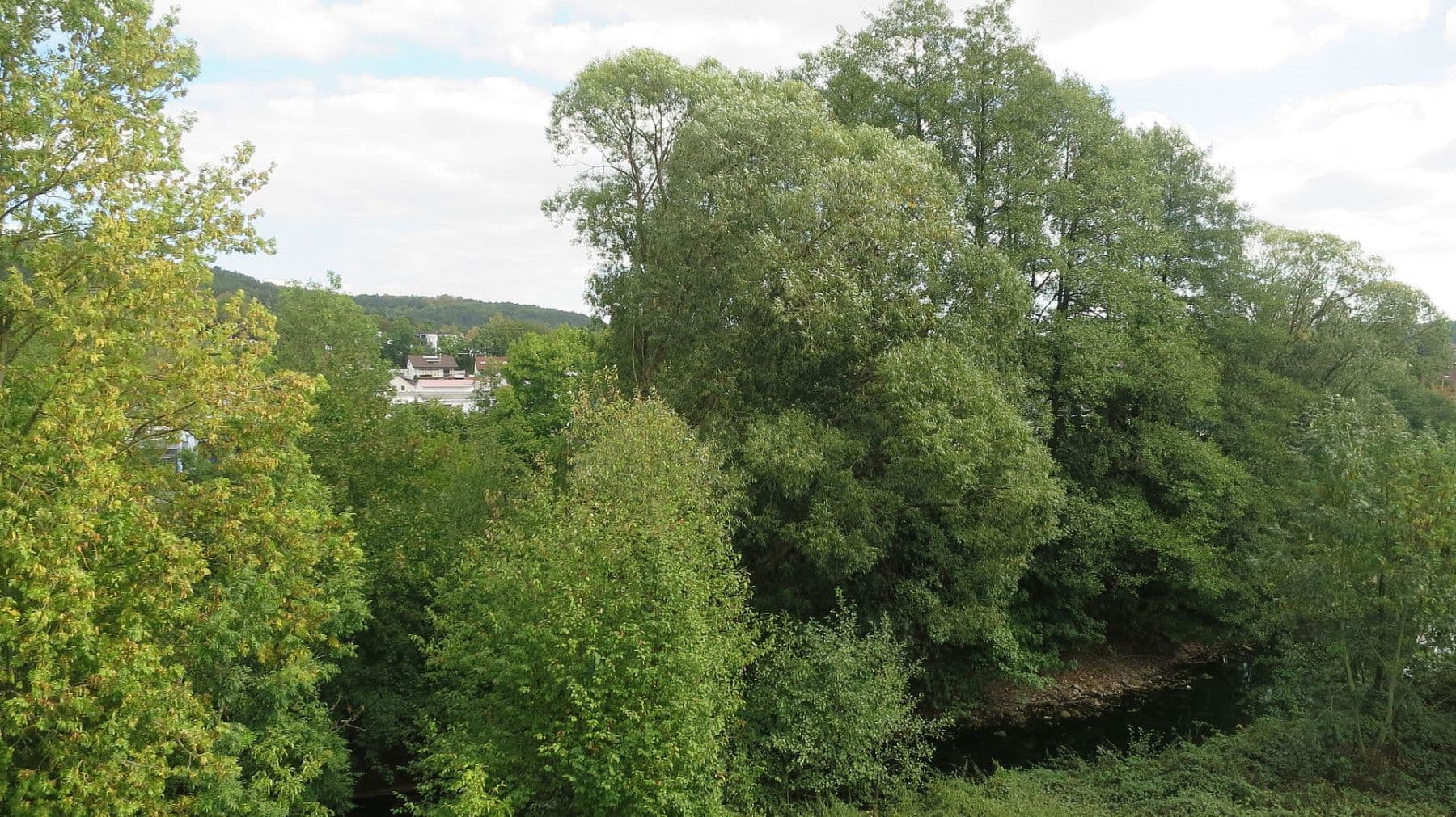 Prenájom bytu 2-izbový 50 m², Kronach, Bavorsko Prenájom bytu 2-izbový 50 m², Kronach, Bavorsko