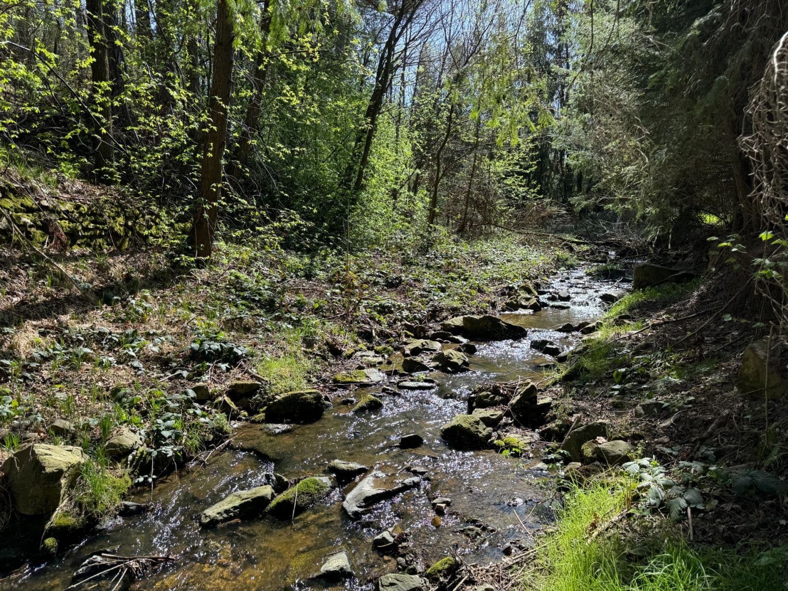 Predaj pozemku 652 m², Holubov, Jihočeský kraj Predaj pozemku 652 m², Holubov, Jihočeský kraj