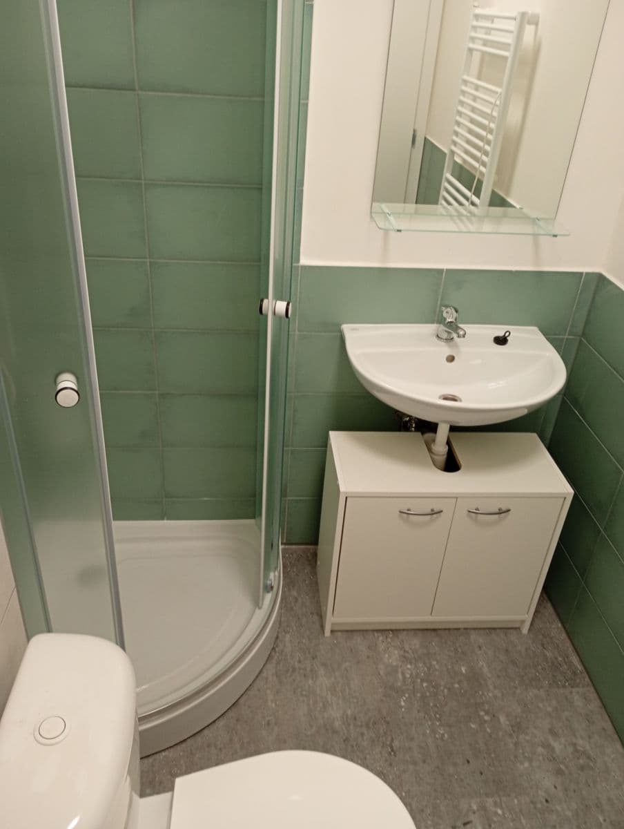 Prenájom bytu 1-izbový 30 m², Palackého, Ostrava, Moravskoslezský kraj Prenájom bytu 1-izbový 30 m², Palackého, Ostrava, Moravskoslezský kraj