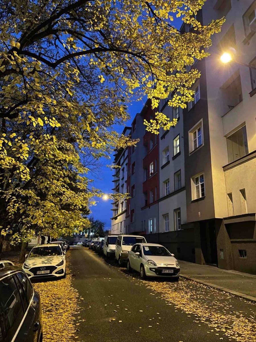 Prenájom bytu 2-izbový 56 m², Stehlíkova, Plzeň, Plzeňský kraj Prenájom bytu 2-izbový 56 m², Stehlíkova, Plzeň, Plzeňský kraj