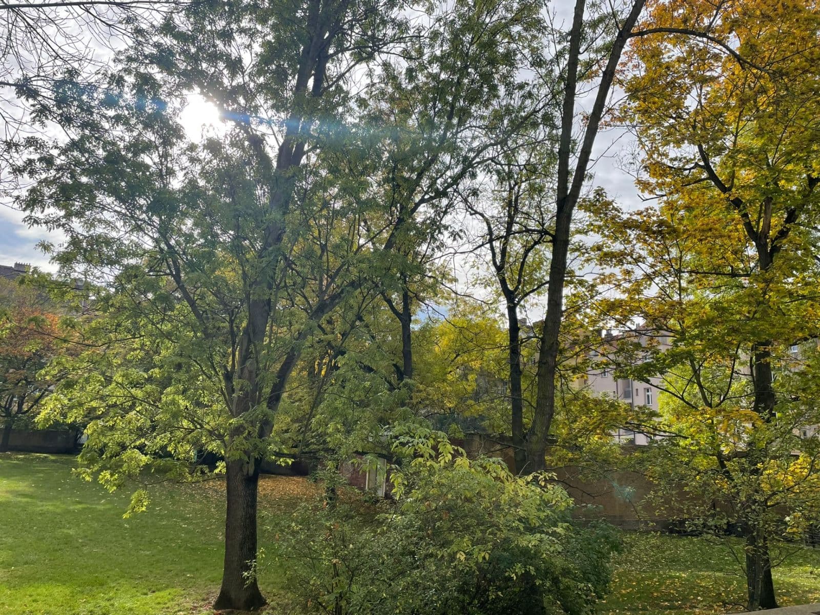 Prenájom bytu 2-izbový 56 m², Stehlíkova, Plzeň, Plzeňský kraj Prenájom bytu 2-izbový 56 m², Stehlíkova, Plzeň, Plzeňský kraj