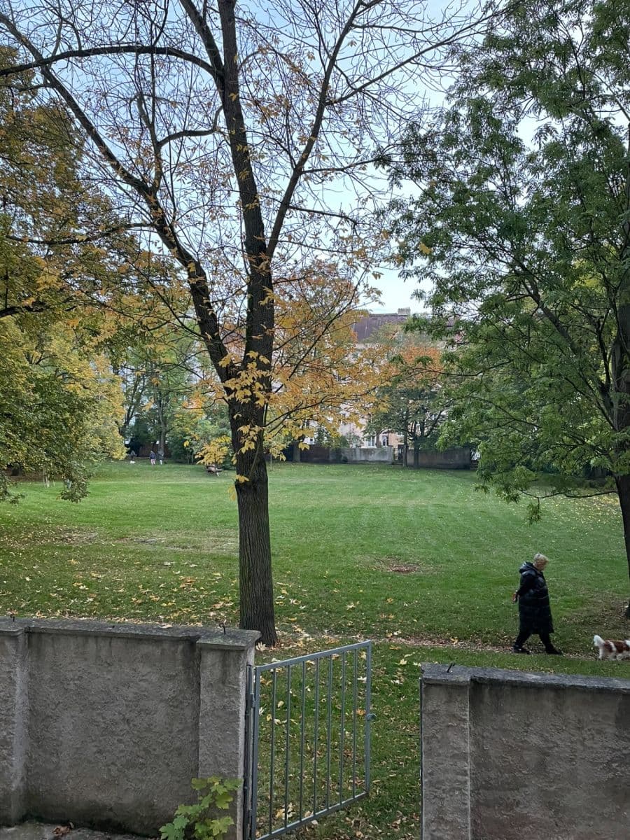 Prenájom bytu 2-izbový 56 m², Stehlíkova, Plzeň, Plzeňský kraj Prenájom bytu 2-izbový 56 m², Stehlíkova, Plzeň, Plzeňský kraj