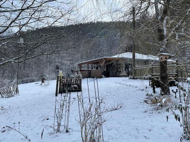 Predaj domu 60 m², pozemek 1.180 m², Waldsiedlung 3, Elmstein, Porýnie-Falcko Predaj domu 60 m², pozemek 1.180 m², Waldsiedlung 3, Elmstein, Porýnie-Falcko