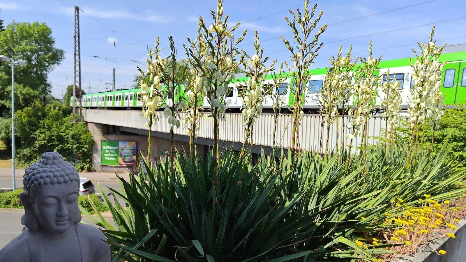 Prenájom nebytového priestoru 462 m², Mülheim an der Ruhr, Severné Porýnie - Westfálsko Prenájom nebytového priestoru 462 m², Mülheim an der Ruhr, Severné Porýnie - Westfálsko