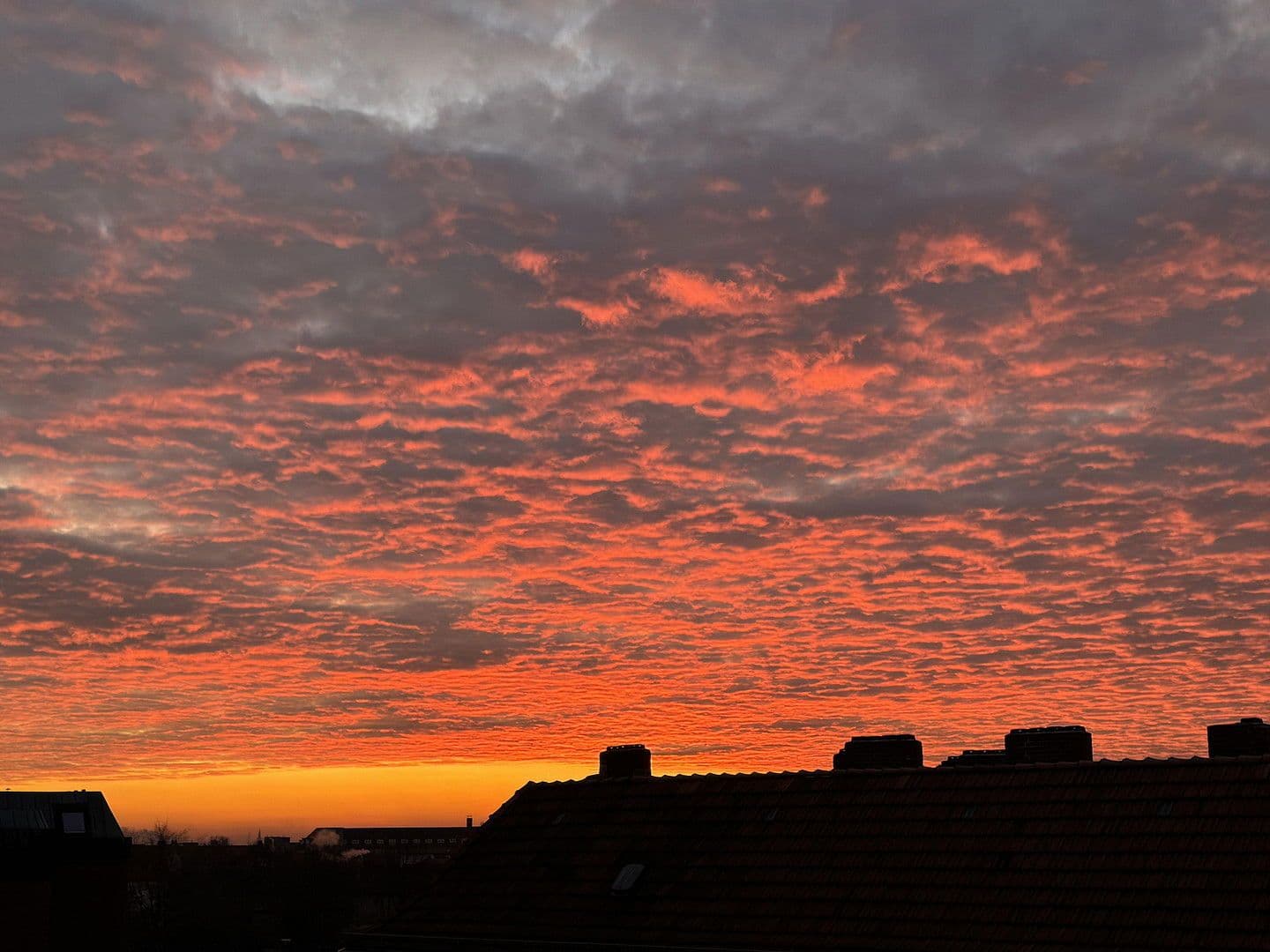 Predaj bytu 3-izbový 80 m², Walderseestraße, Berlin, Berlín Predaj bytu 3-izbový 80 m², Walderseestraße, Berlin, Berlín