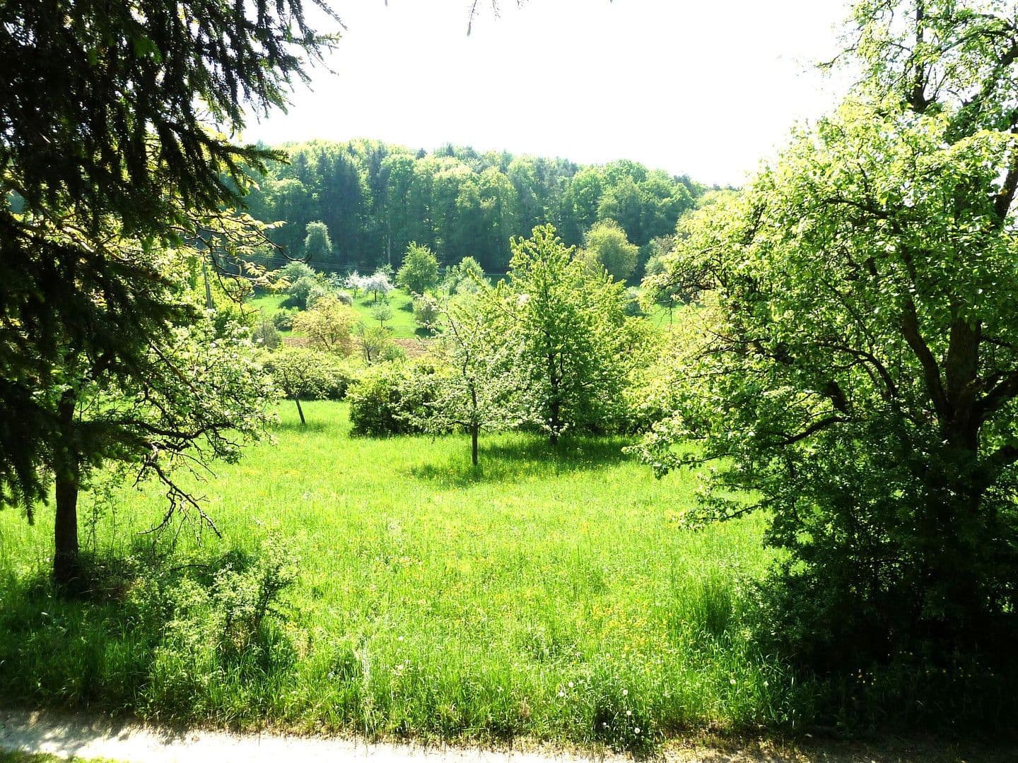 Predaj pozemku 653 m², Gewann Börstein, Pfinztal, Bádensko-Wurttembersko Predaj pozemku 653 m², Gewann Börstein, Pfinztal, Bádensko-Wurttembersko