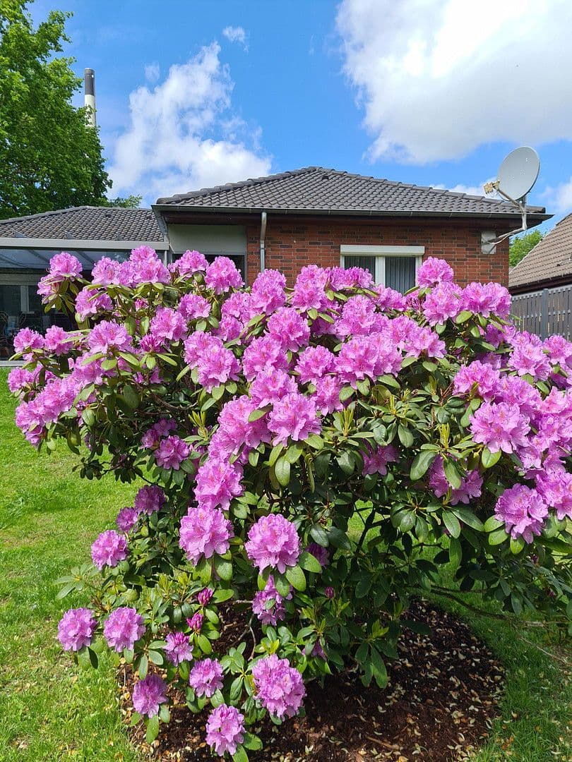 Predaj domu 102 m², pozemek 830 m², Hemmingstedt, Šlezvicko-Holštajnsko Predaj domu 102 m², pozemek 830 m², Hemmingstedt, Šlezvicko-Holštajnsko