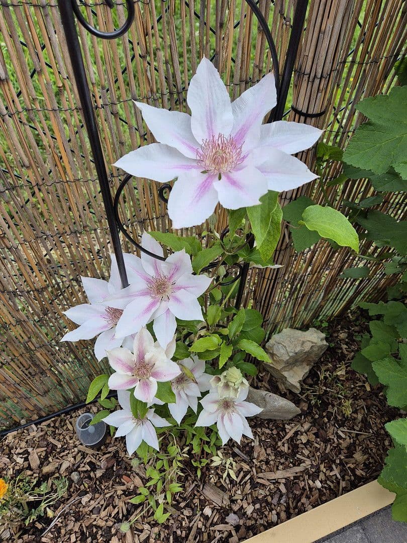 Predaj bytu 3-izbový 111 m², Waldbüttelbrunn, Bavorsko Predaj bytu 3-izbový 111 m², Waldbüttelbrunn, Bavorsko