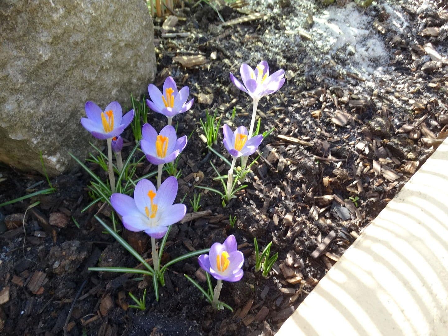 Predaj bytu 3-izbový 111 m², Waldbüttelbrunn, Bavorsko Predaj bytu 3-izbový 111 m², Waldbüttelbrunn, Bavorsko