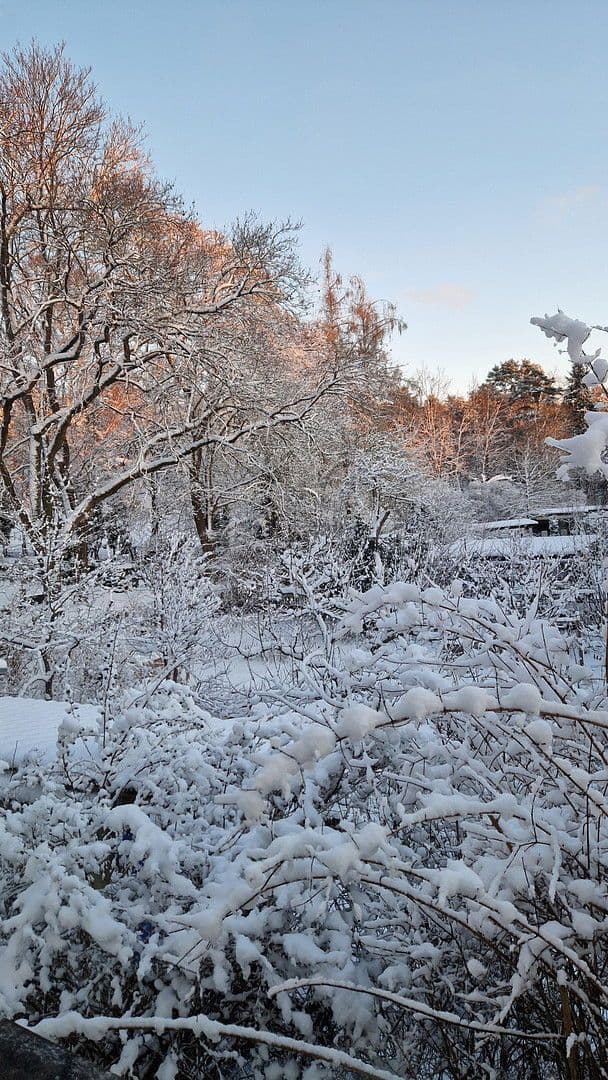 Predaj domu 200 m², pozemek 668 m², Berlin, Berlín Predaj domu 200 m², pozemek 668 m², Berlin, Berlín