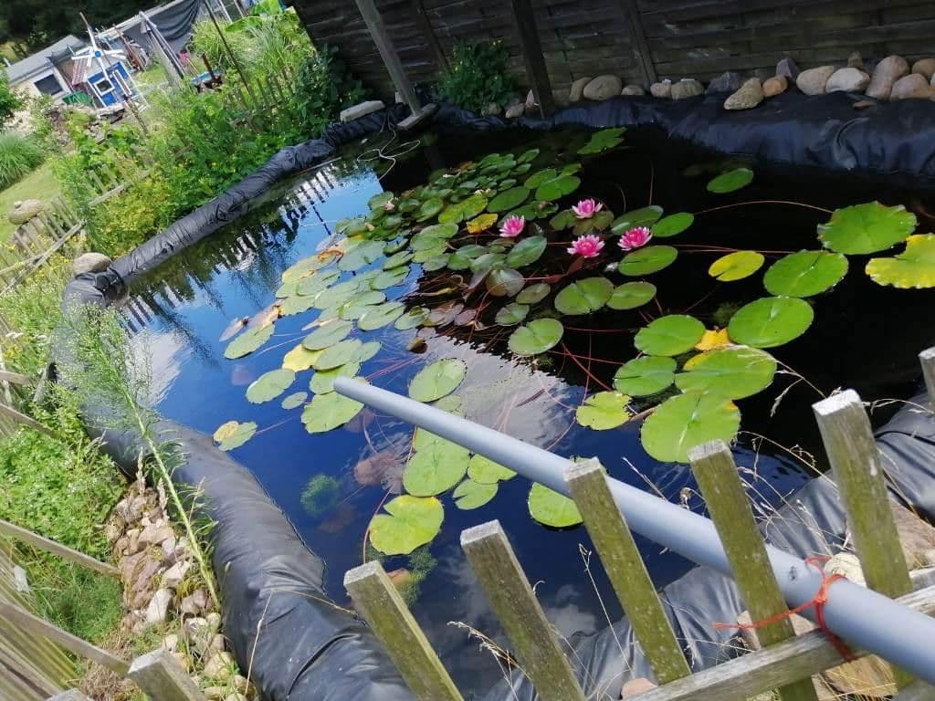 Predaj domu 152 m², pozemek 3.348 m², Rietz-Neuendorf, Brandenbursko Predaj domu 152 m², pozemek 3.348 m², Rietz-Neuendorf, Brandenbursko