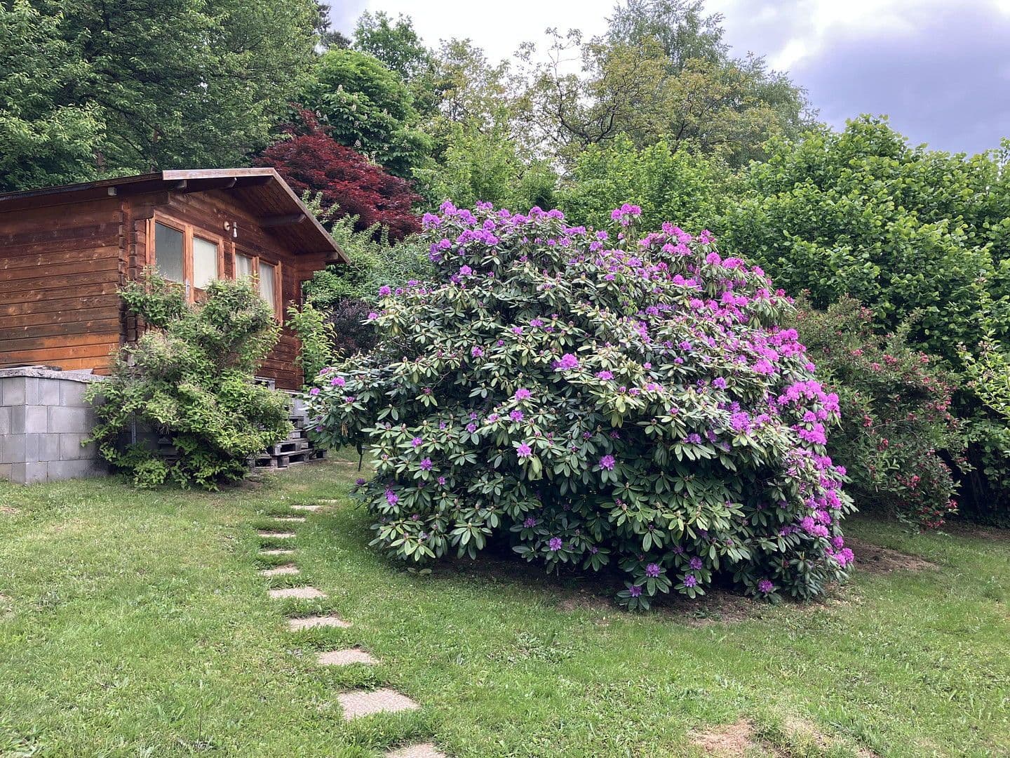 Predaj domu 50 m², pozemek 1.000 m², Lockenhaus, Burgenland Predaj domu 50 m², pozemek 1.000 m², Lockenhaus, Burgenland