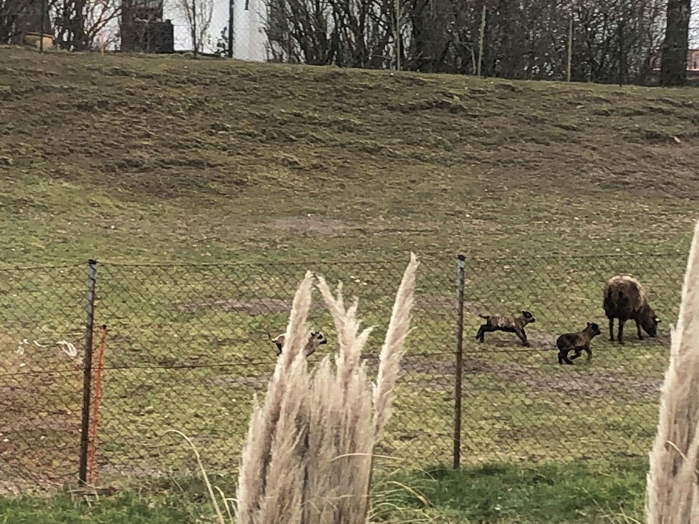 Predaj domu 157 m², pozemek 900 m², Poseritz, Meklenbursko-Predpomoransko Predaj domu 157 m², pozemek 900 m², Poseritz, Meklenbursko-Predpomoransko