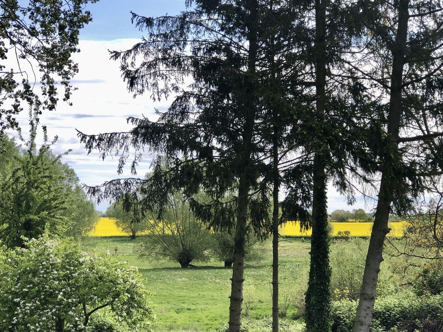 Predaj domu 157 m², pozemek 900 m², Poseritz, Meklenbursko-Predpomoransko Predaj domu 157 m², pozemek 900 m², Poseritz, Meklenbursko-Predpomoransko