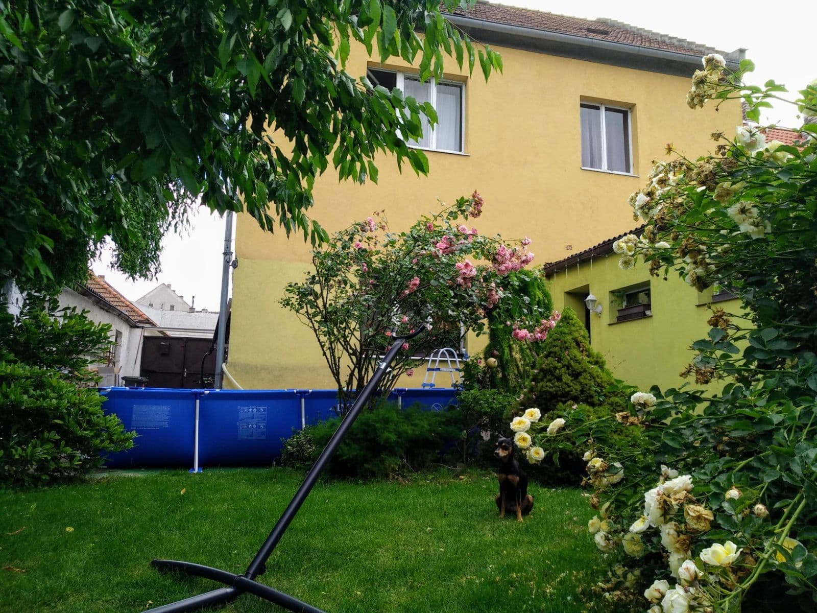 Prenájom domu 190 m², pozemek 374 m², Bratří Karpíšků, Pchery, Středočeský kraj Prenájom domu 190 m², pozemek 374 m², Bratří Karpíšků, Pchery, Středočeský kraj