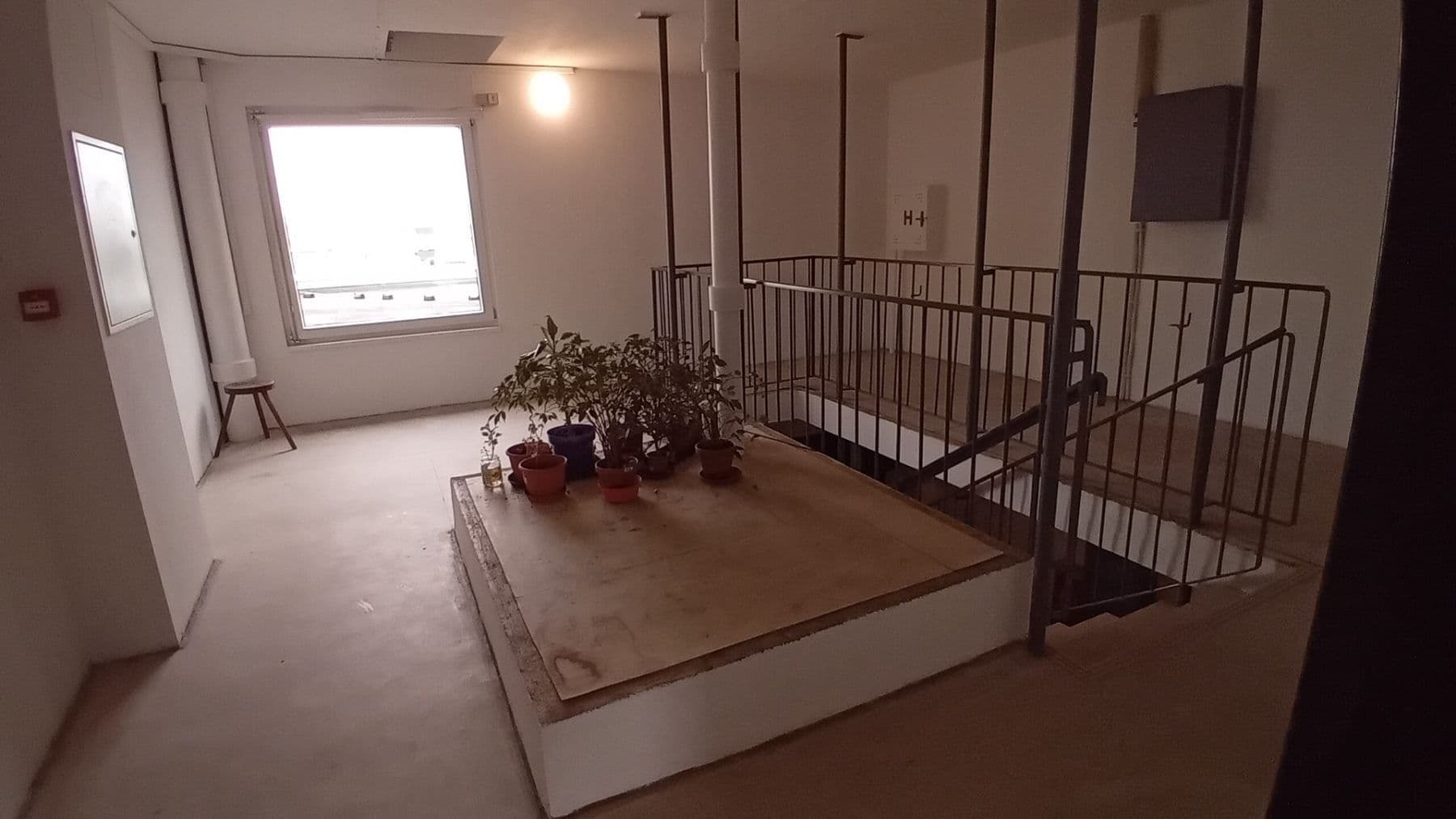 Prenájom nebytového priestoru 32 m², Jeseniova, Praha, Praha Prenájom nebytového priestoru 32 m², Jeseniova, Praha, Praha