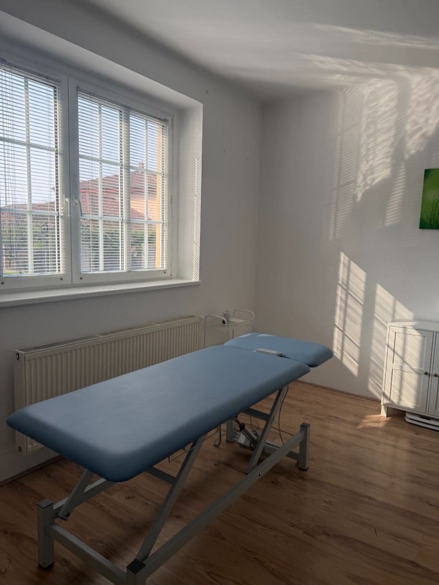 Prenájom nebytového priestoru 20 m², Legionářů, Praha, Praha Prenájom nebytového priestoru 20 m², Legionářů, Praha, Praha